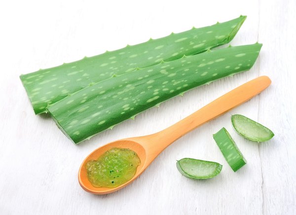 Quels sont les bienfaits de l'aloe vera pour la peau et comment l'utiliser?